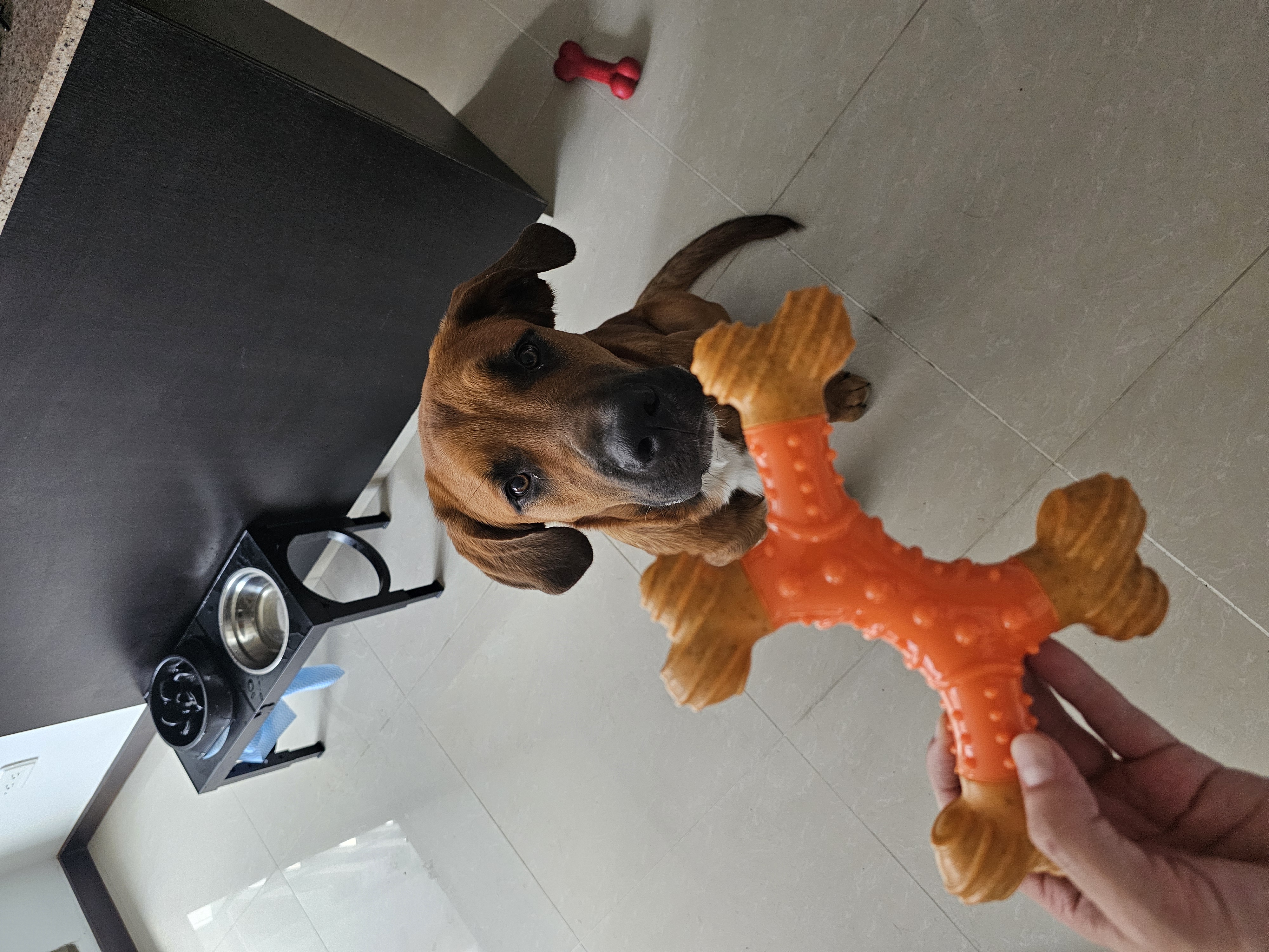 Publicación de Dante