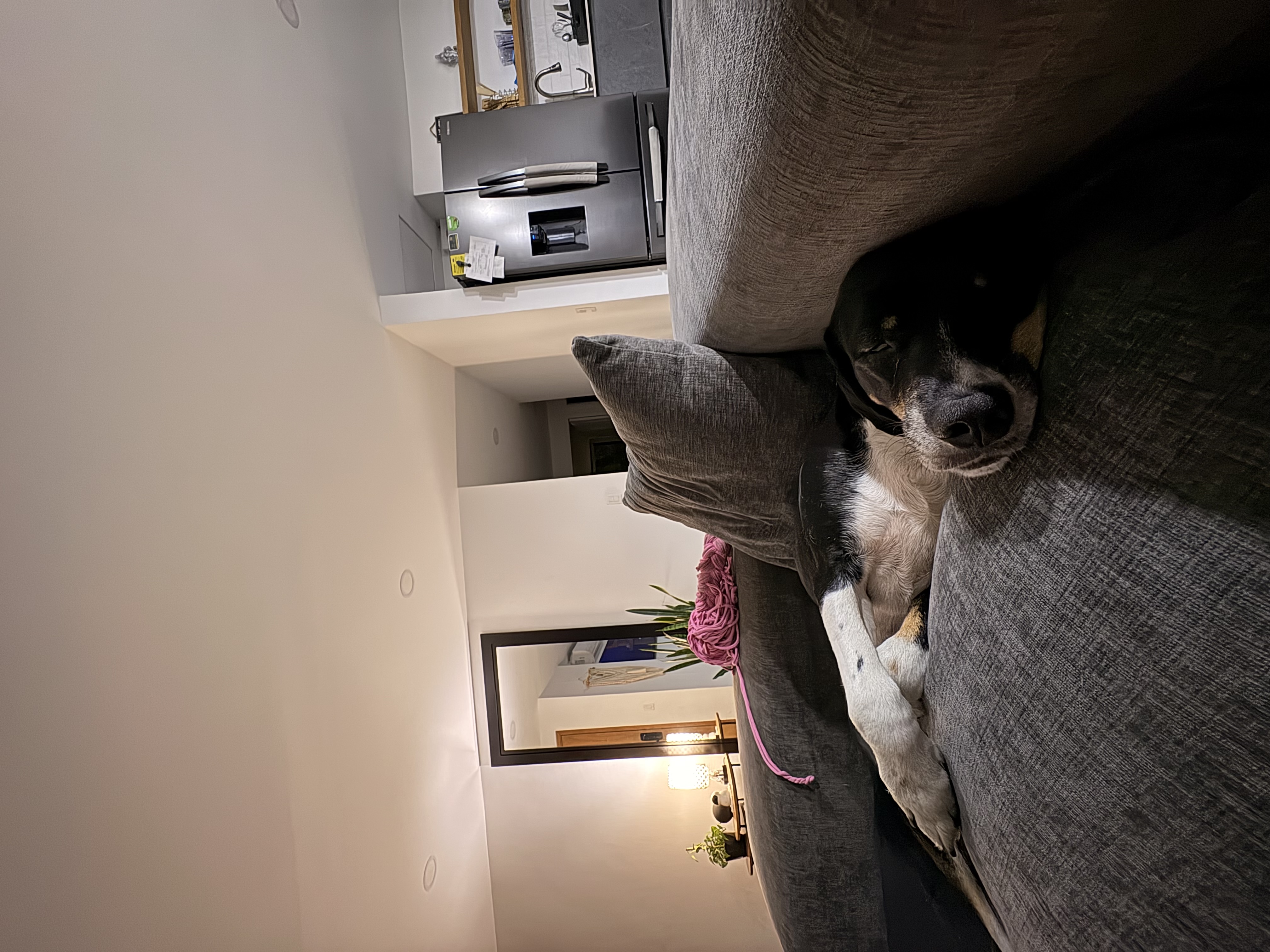 Publicación de Zadar