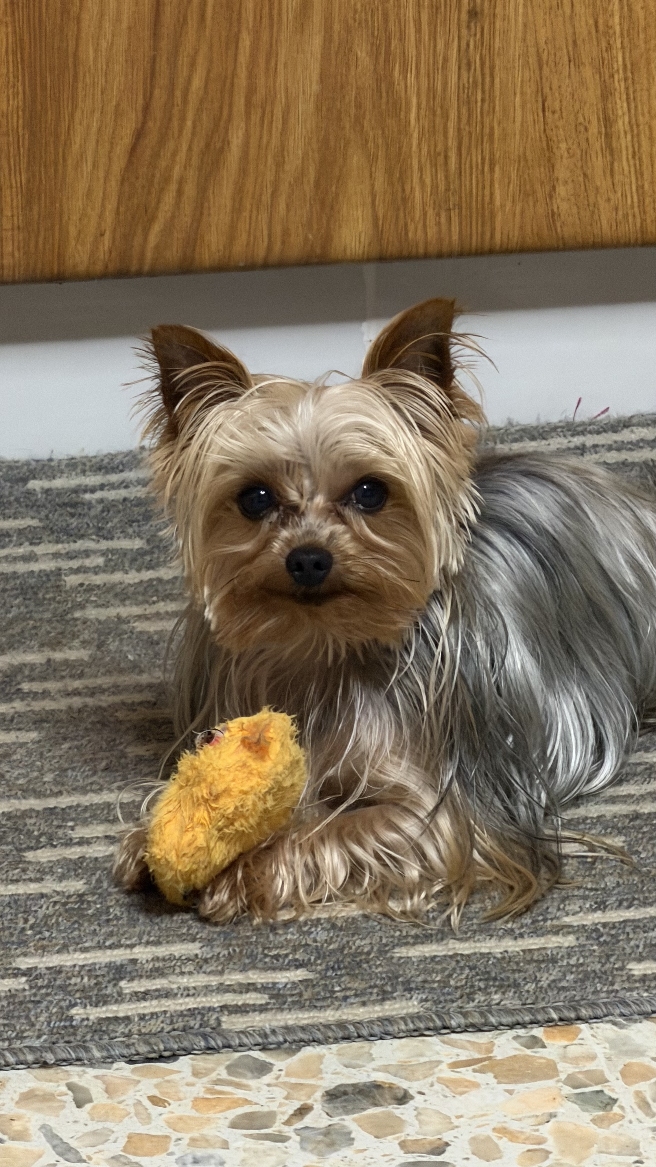 Publicación de Lucky