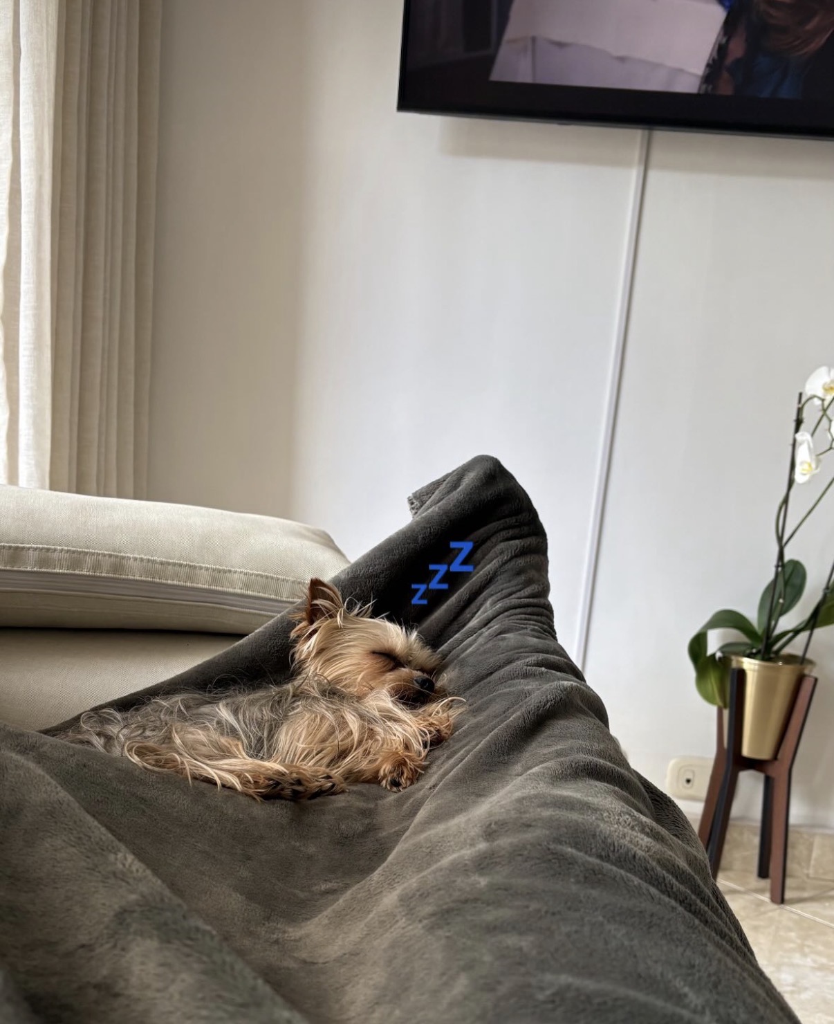 Publicación de Lucky