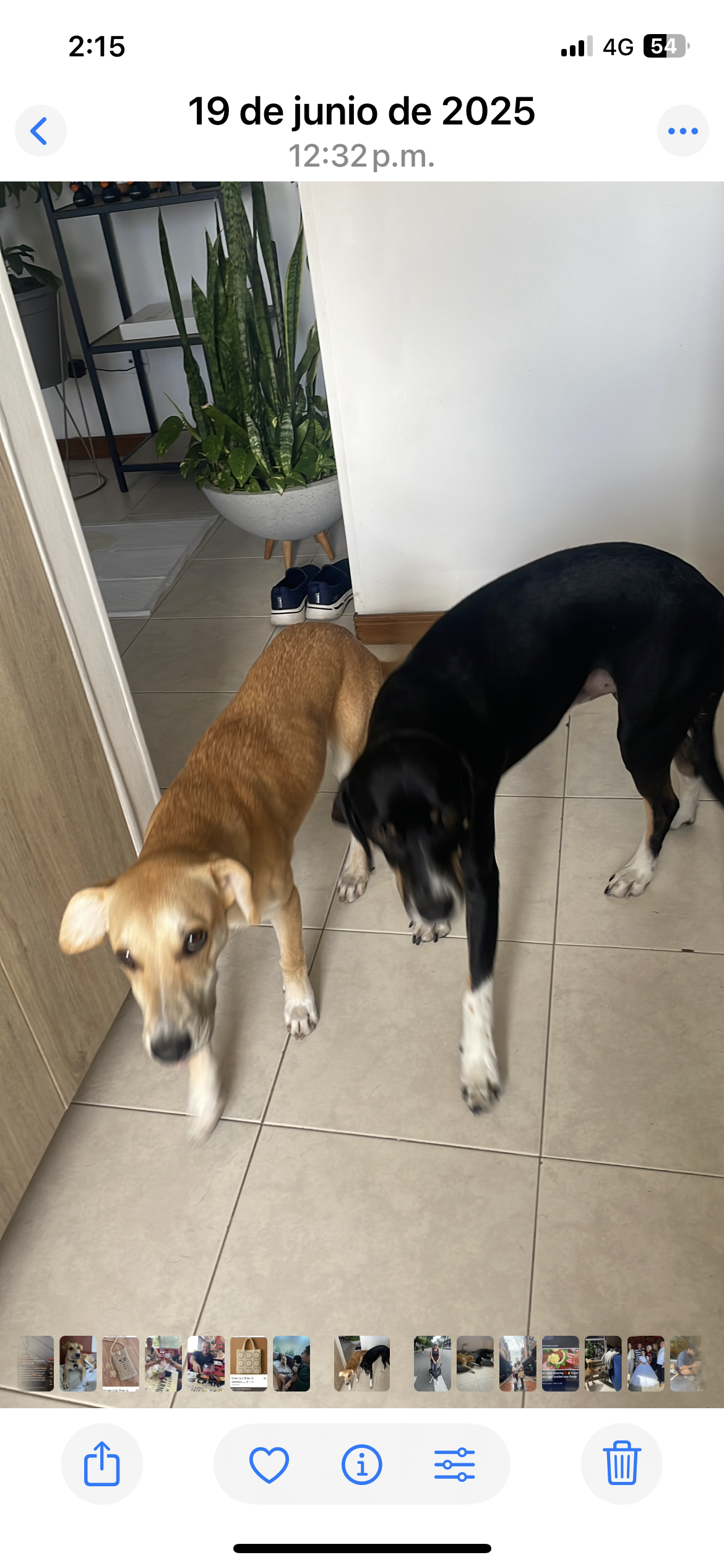 Publicación de Gaby