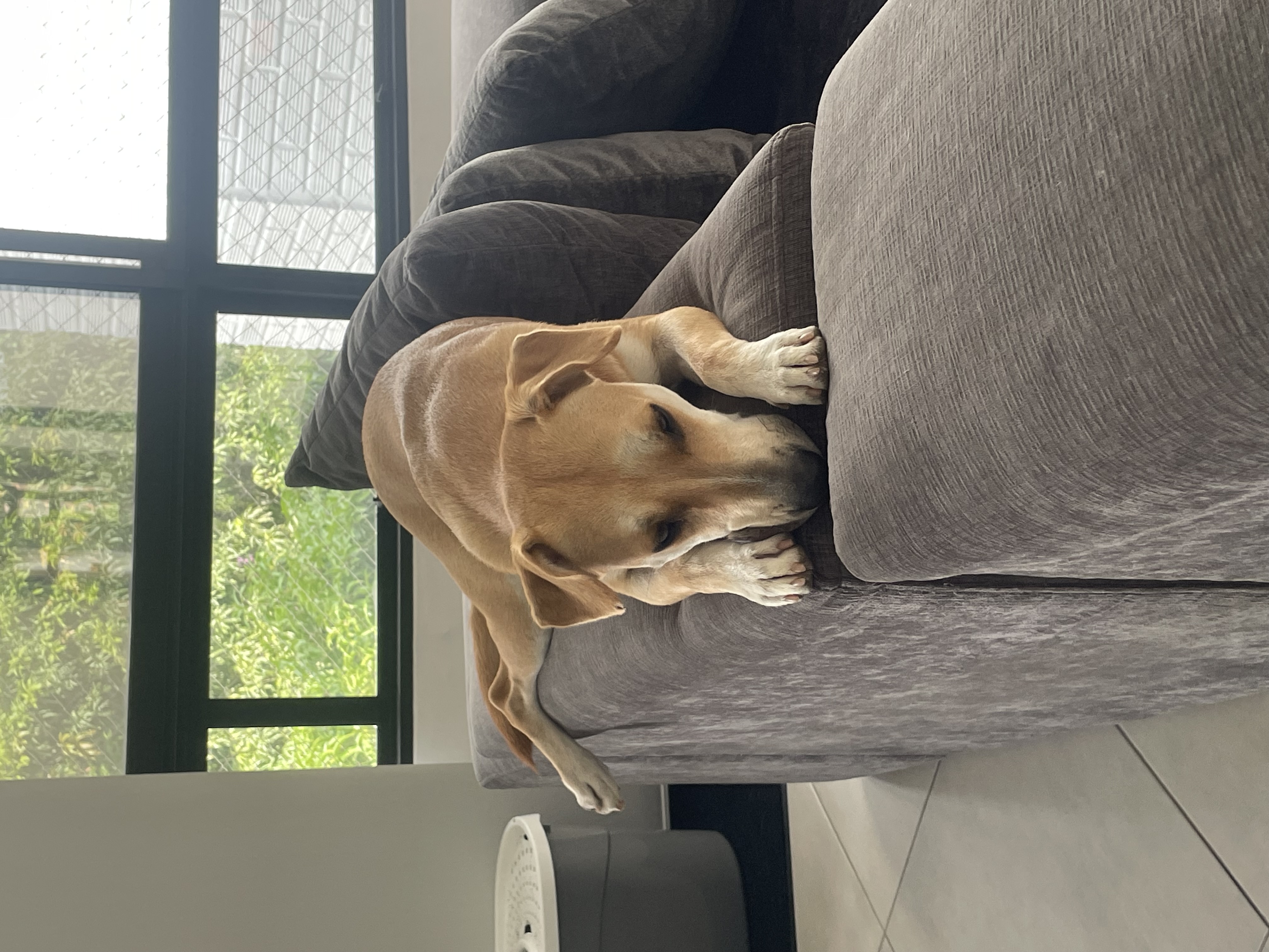 Publicación de Gaby