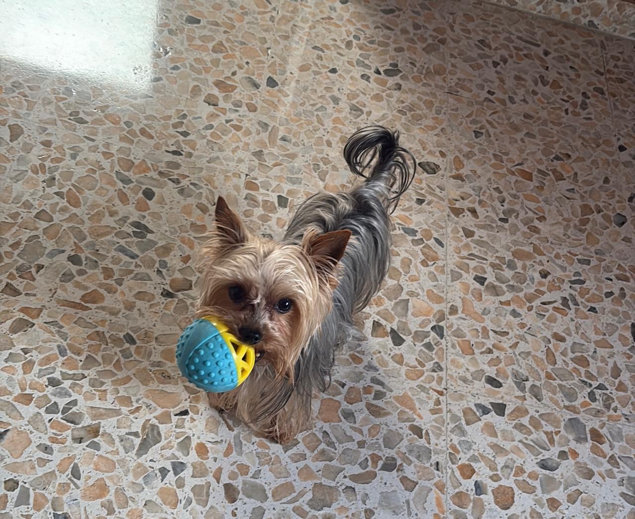 Publicación de Lucky